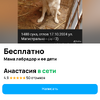 Астрахань пристраивается лабрадор