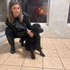 Москва найден лабрадор