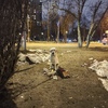 Москва, улица Клары Цеткин найден лабрадор