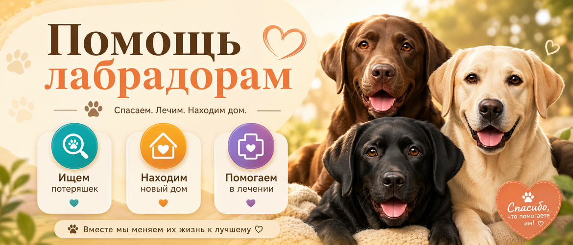 Помощь лабрадорам - пропал, найден, замечен
